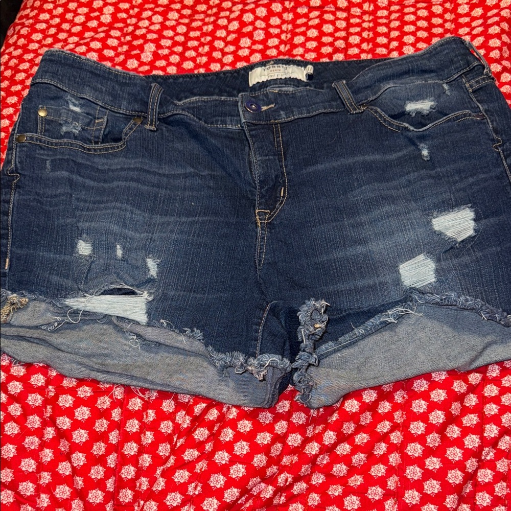 Torrid shorts